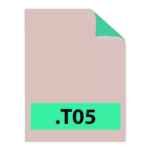 .T05 File Extension