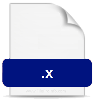 .X File Extension