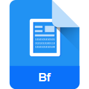 .BF File Extension