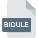 .BIDULE File Extension