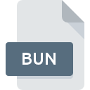 .BUN File Extension