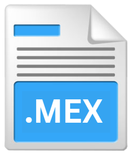 .MEX File Extension