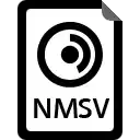 .NMSV File Extension