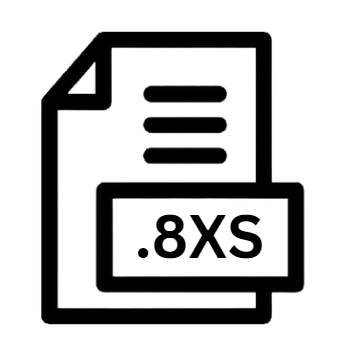 .8XS File Extension