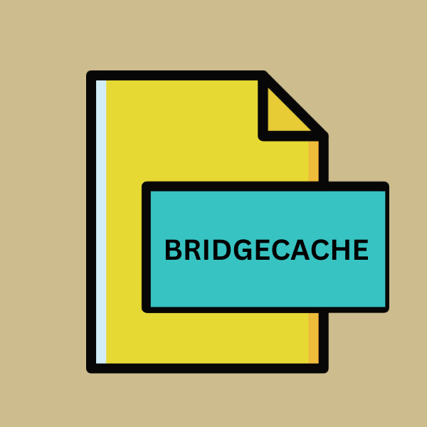 .BRIDGECACHE File Extension