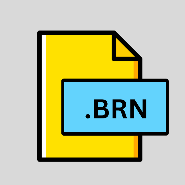 .BRN File Extension