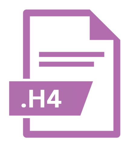 .H4 File Extension