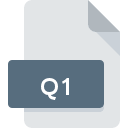 .Q1 File Extension