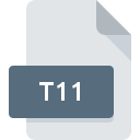 .T11 File Extension