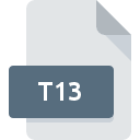 .T13 File Extension