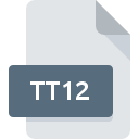 .TT12 File Extension