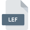 .LEF File Extension