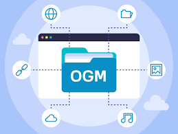 .OGM File Extension