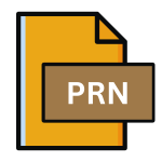 .PRN File Extension