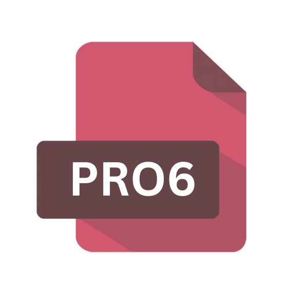 .PRO6 File Extension