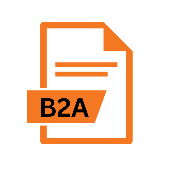 B2A File Extension