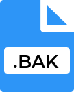 .BAK File Extension