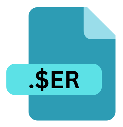 .$ER File Extension