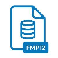 .FMP12 File Extension