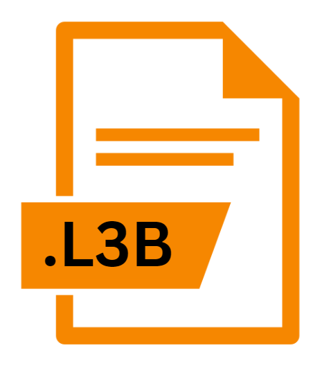 .L3B File Extension