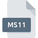 .MS11 File Extension