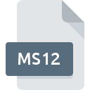 .MS12 File Extension