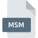 .MSM File Extension