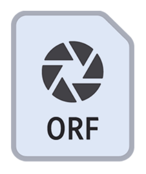 .ORF File Extension