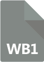 .WB1 File Extension