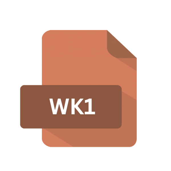 WK1 File Extension