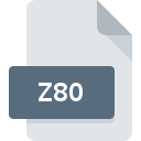 .Z80 File Extension