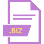 .BIZ File Extension