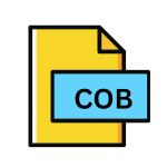 COB File Extension