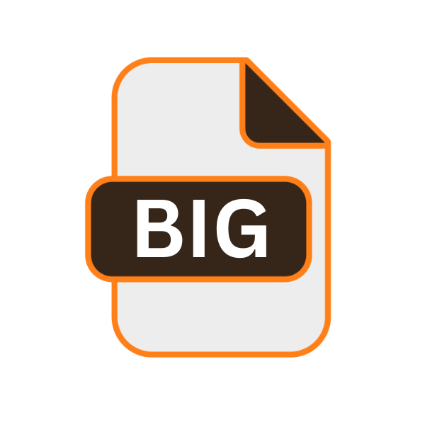 BIG File Extension