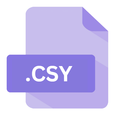 .CSY File Extension