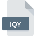 .IQY File Extension