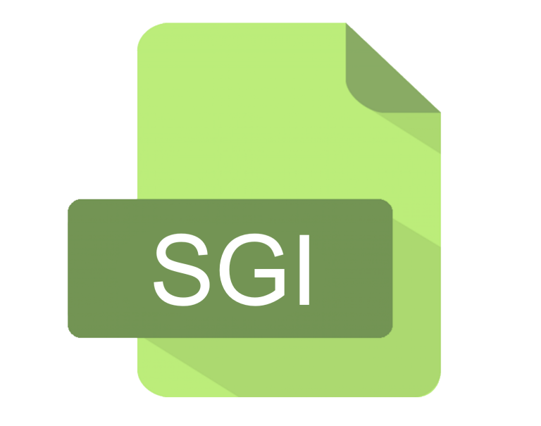 .SGI File Extension