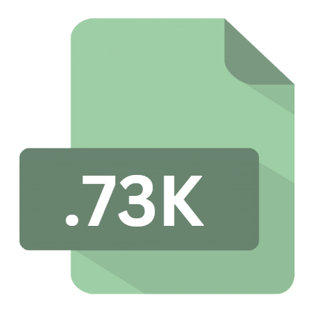 .73K File Extension