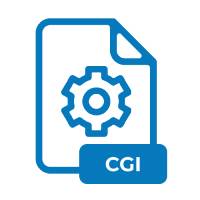 .CGI File Extension