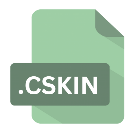 .CSKIN File Extension