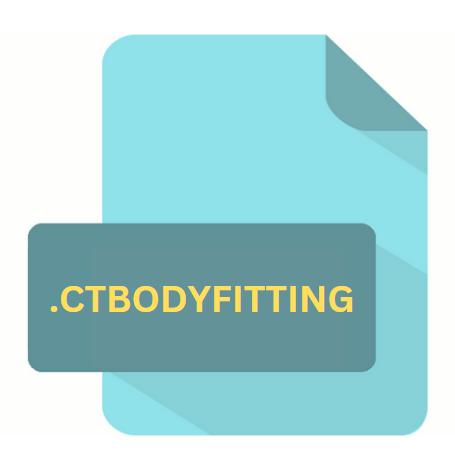 .CTBODYFITTING File Extension