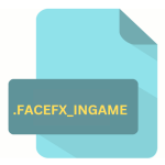 .FACEFX_INGAME File Extension