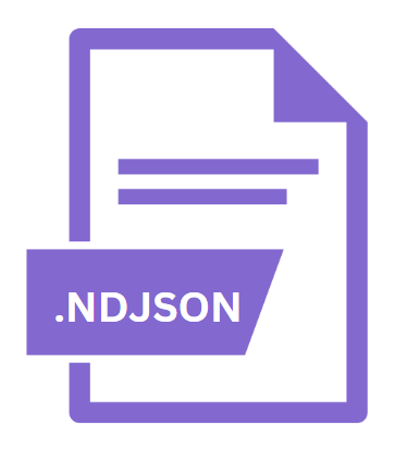 .NDJSON File Extension